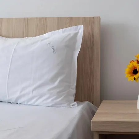 Casa El Greco Pensión Costinesti