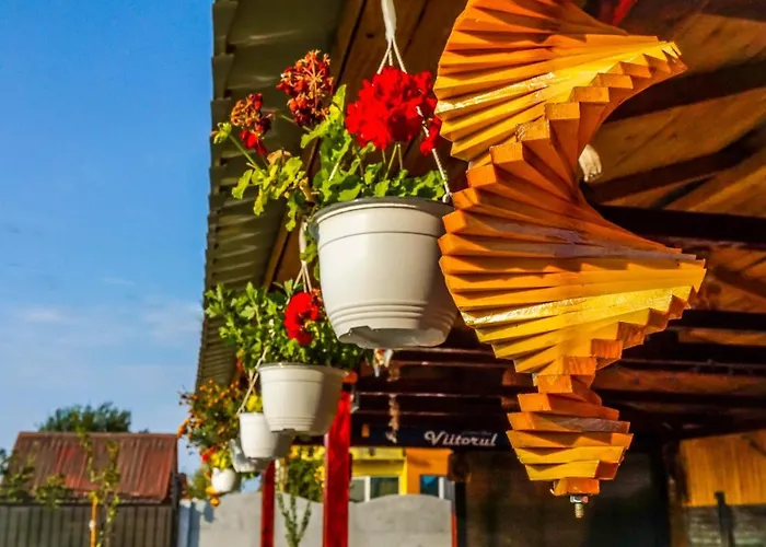 Guest house Casa El Greco Costinesti